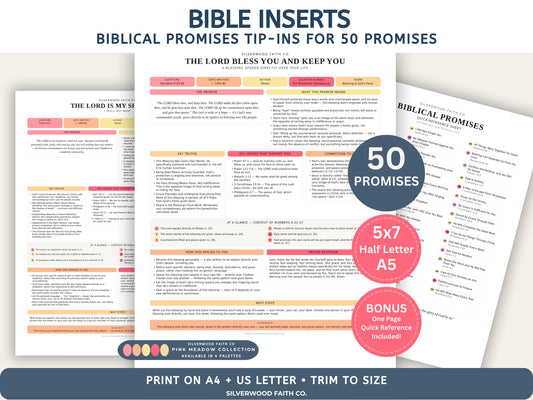 Bible Inserts Biblical Promises Summaries: 50 Promises that God Makes and Keeps, Bible Study Tip Ins, PINK MEADOW (Digital Download) 526