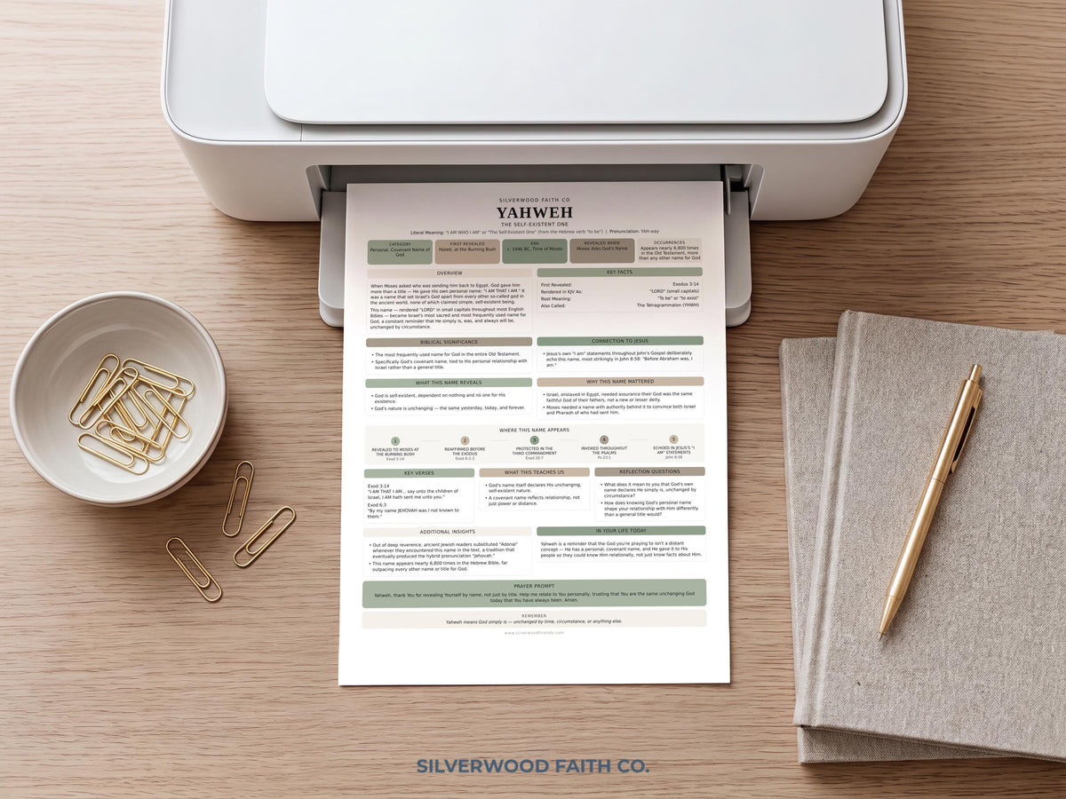 Bible workbook reference sheet picture — educational layout with soft green botanical accents and structured information boxes