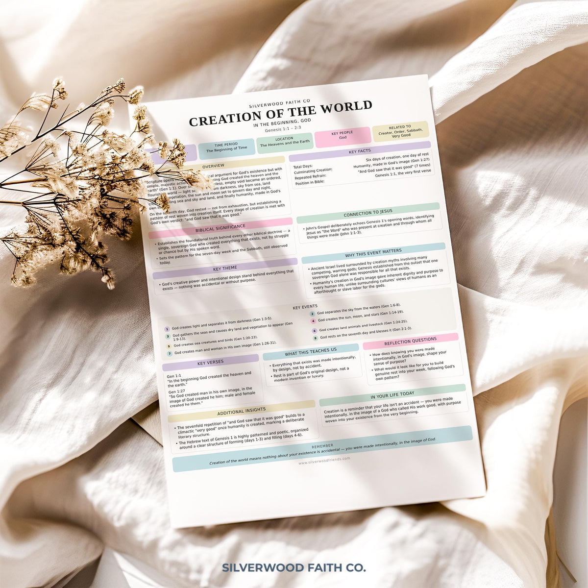 Faith-based educational poster with Genesis content in cottagecore pastel palette and clean typographic design