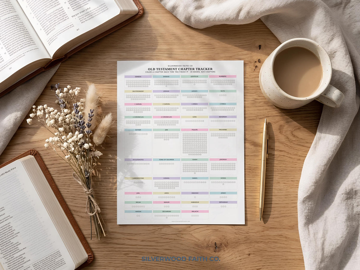 Testament completion tracker artwork digital download — gentle minimalist print with soft color-blocked book labels and organized progress marking