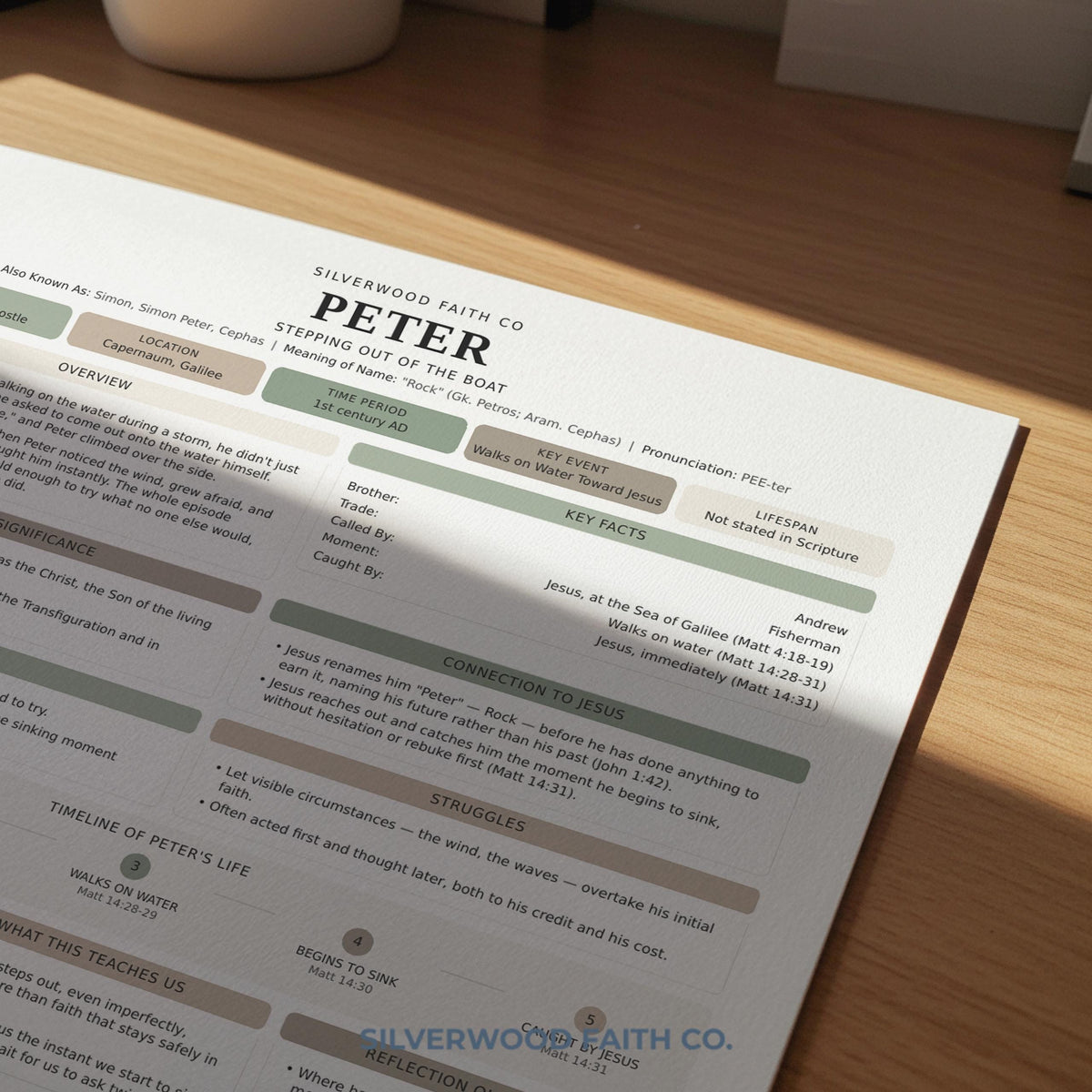 Bible study guide printable featuring disciple character profile — calming green-accented design with structured learning prompts