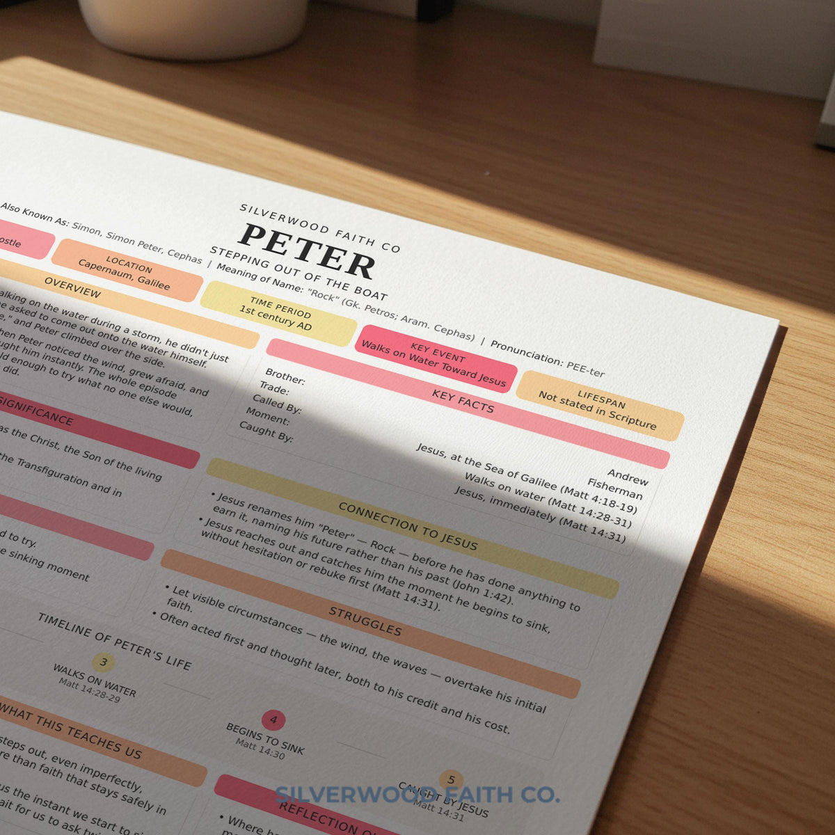 Bible character study sheet poster for faith-based spaces — Peter the apostle illustrated guide with clean infographic-style sections