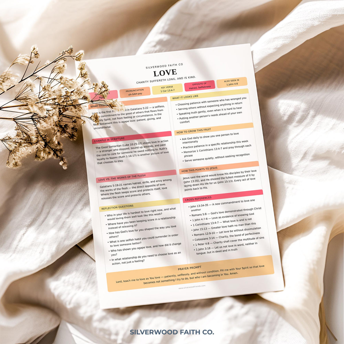 Guided scripture study digital print for living room — feminine devotional layout with organized prompts and verse reference sections