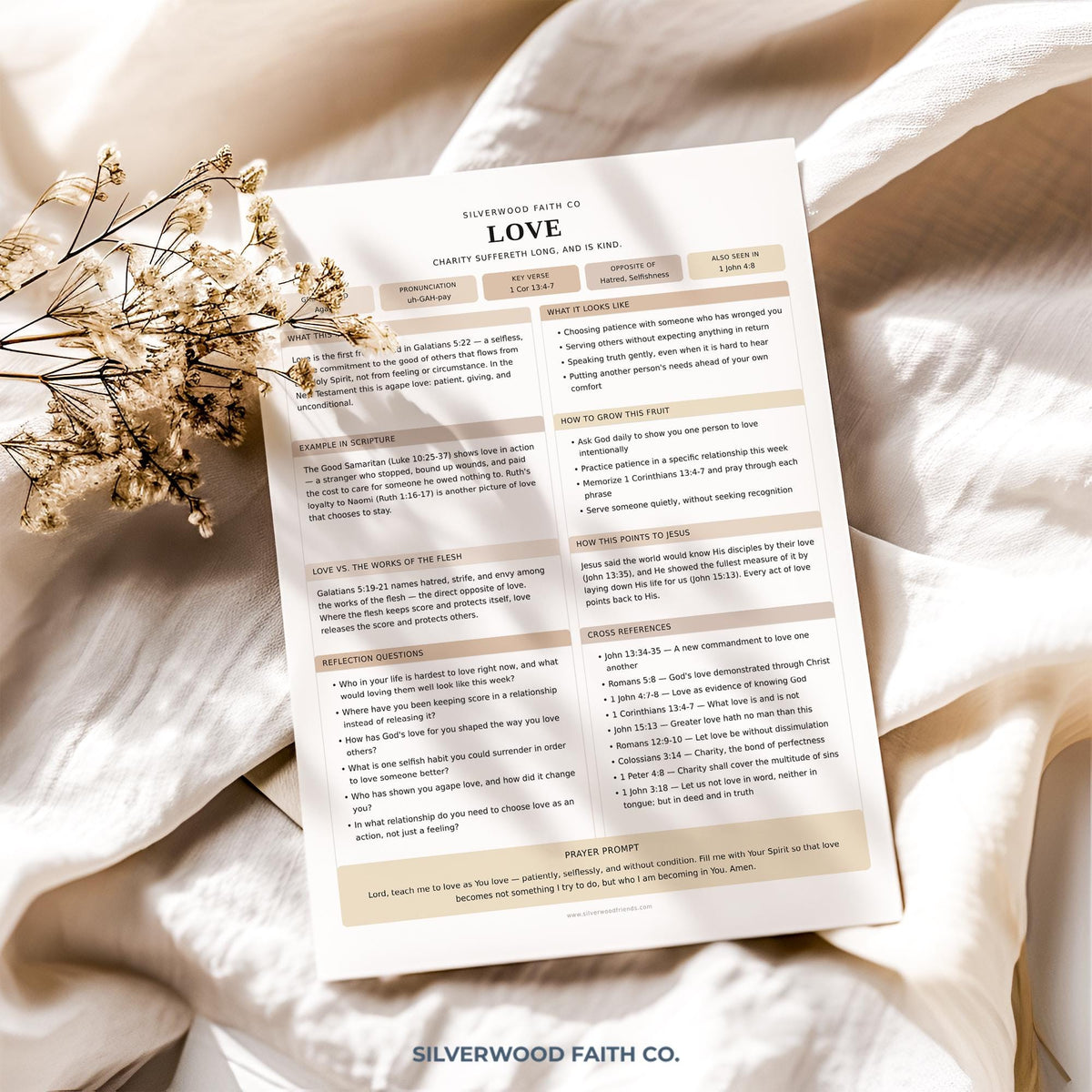 Faith-based Bible lesson poster with organized note-taking sections — soft aesthetic spiritual printable for Sunday school classrooms and faith journaling