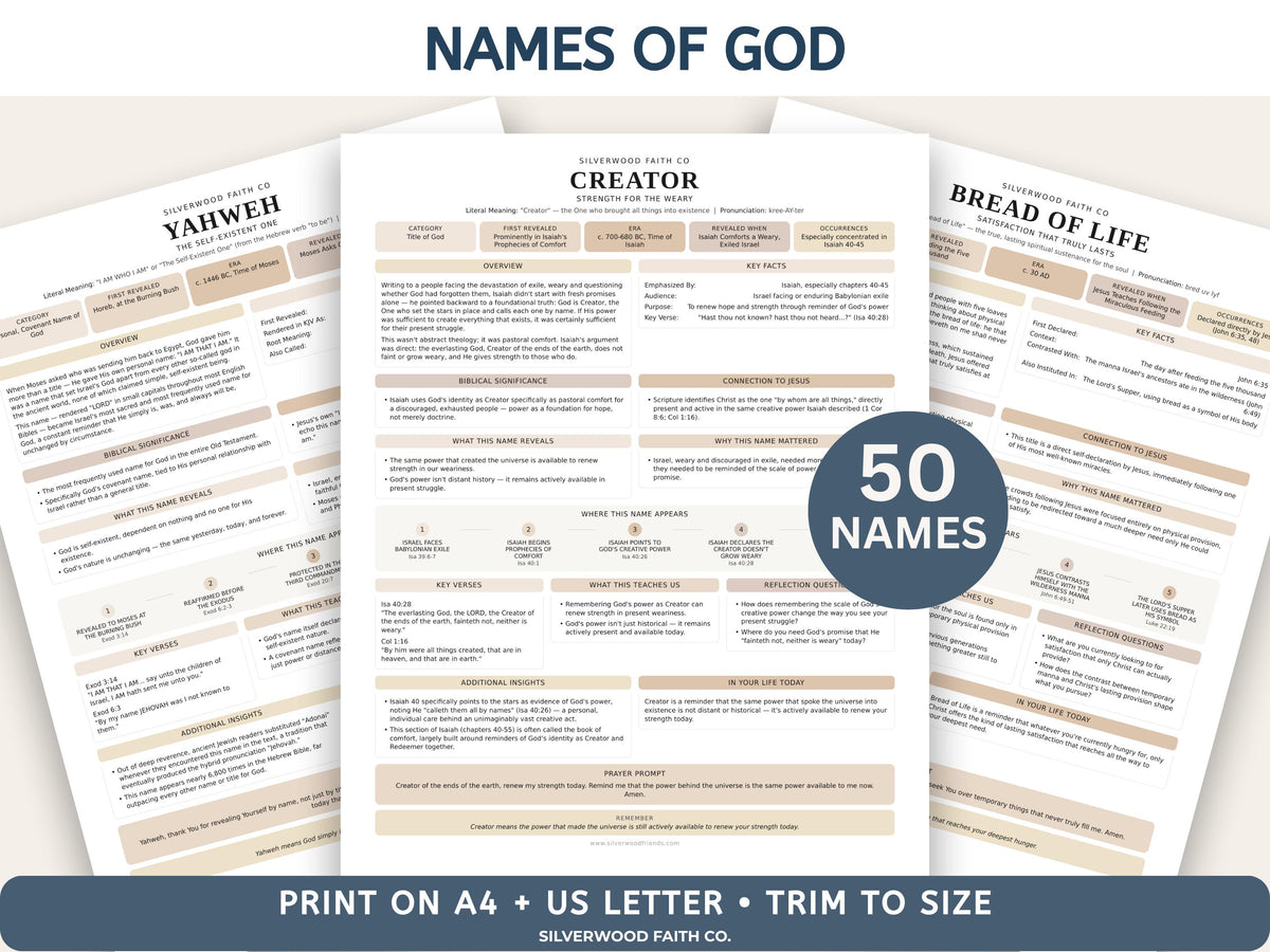 Mega Bible Study INSERT Bundle, Loaded Bible Study Tip Ins, Bible Summaries, Bible Study Resources, Printable PDF CASHMERE(Digital Download)