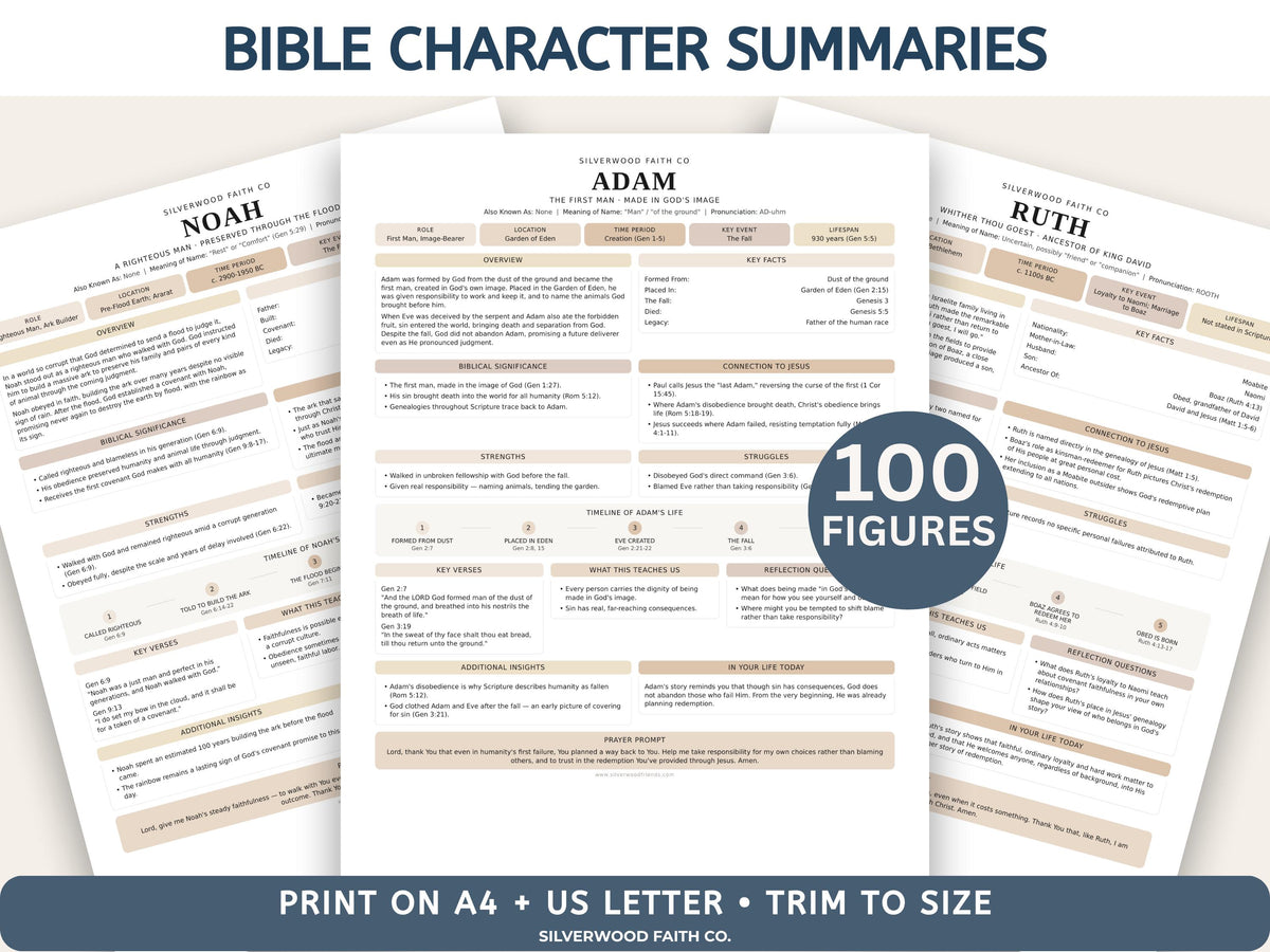 Mega Bible Study INSERT Bundle, Loaded Bible Study Tip Ins, Bible Summaries, Bible Study Resources, Printable PDF CASHMERE(Digital Download)