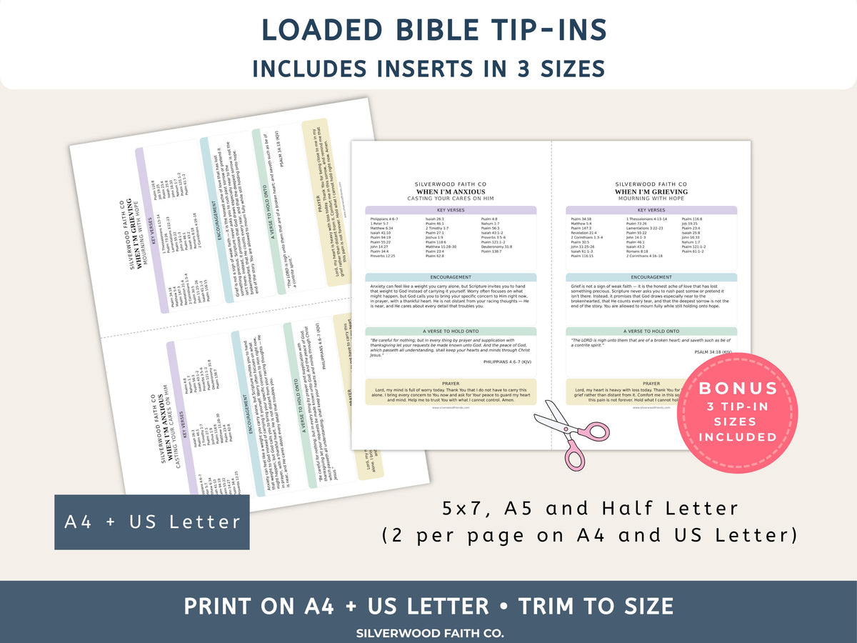 Complete Bible INSERT Study Guide Bundle, Loaded Bible Study Tip Ins, Bible Summaries, Bible Study Resources, Printable (Digital Download)