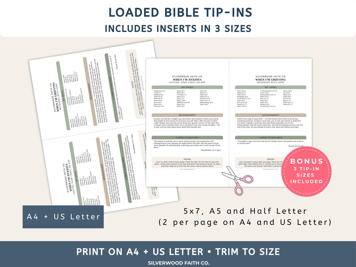 Complete Bible INSERT Study Guide Bundle, Loaded Bible Study Tip Ins, Bible Summaries, Bible Study Resources, Printable (Digital Download)
