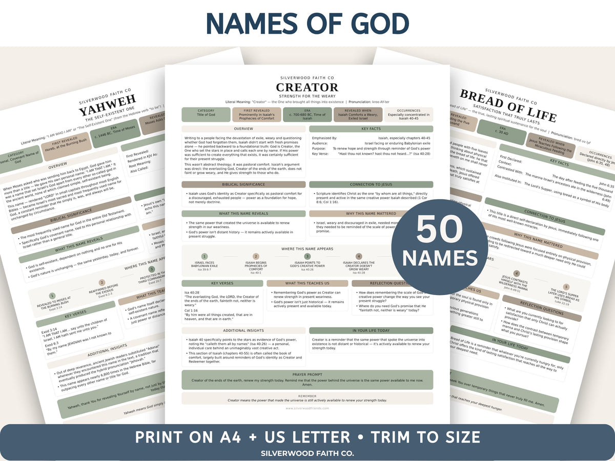 Complete Bible INSERT Study Guide Bundle, Loaded Bible Study Tip Ins, Bible Summaries, Bible Study Resources, Printable (Digital Download)