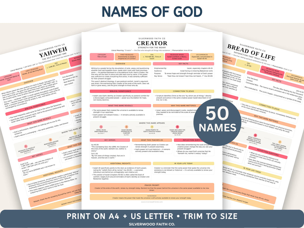 Complete Bible INSERT Study Guide Bundle, Loaded Bible Study Tip Ins, Bible Summaries, Bible Study Resources, Printable (Digital Download)