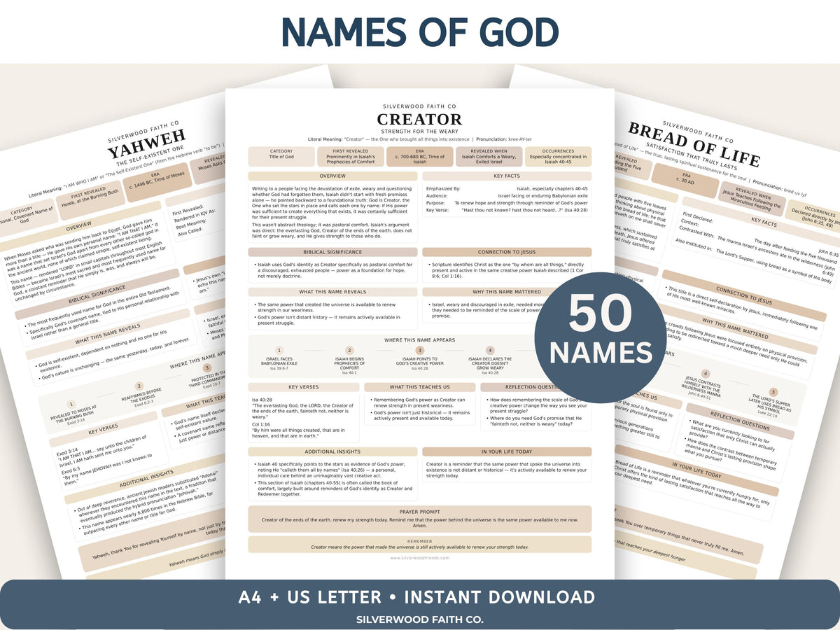 Mega Bible Study Bundle, Bible Study Guides, Bible Summaries, Sunday School Lessons, Bible Study Resource Tool (Digital Download) 496