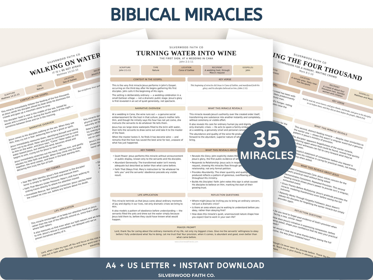 Mega Bible Study Bundle, Bible Study Guides, Bible Summaries, Sunday School Lessons, Bible Study Resource Tool (Digital Download) 496
