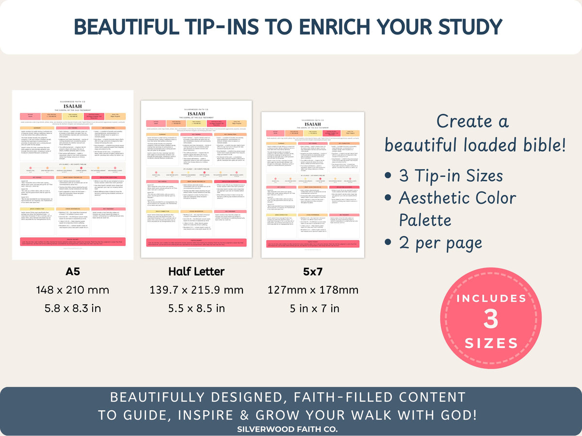 17 Bible Prophets Bible Study Guide, Major and Minor Bible Book Prophet Summaries, Printable Loaded Bible Insert Tip Ins (Digital Download)