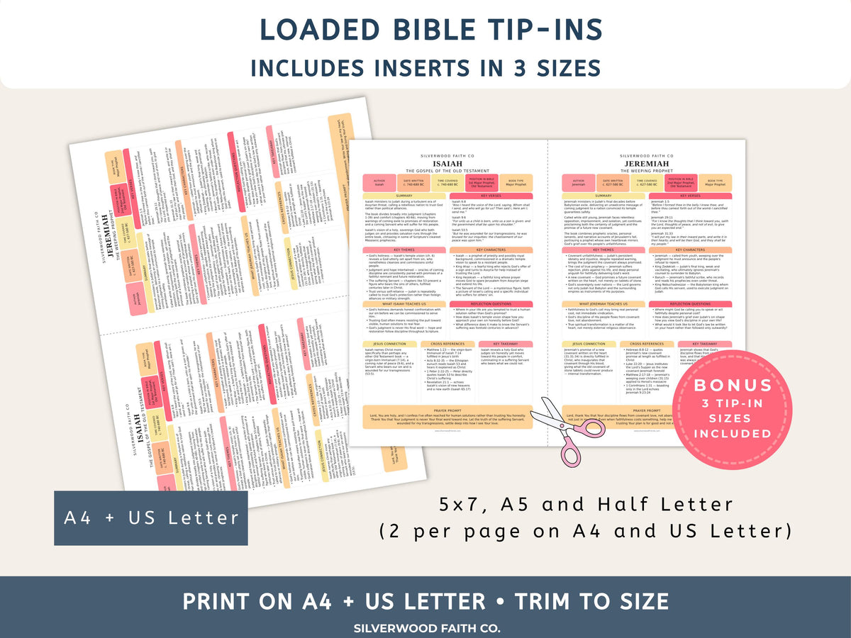 17 Bible Prophets Bible Study Guide, Major and Minor Bible Book Prophet Summaries, Printable Loaded Bible Insert Tip Ins (Digital Download)
