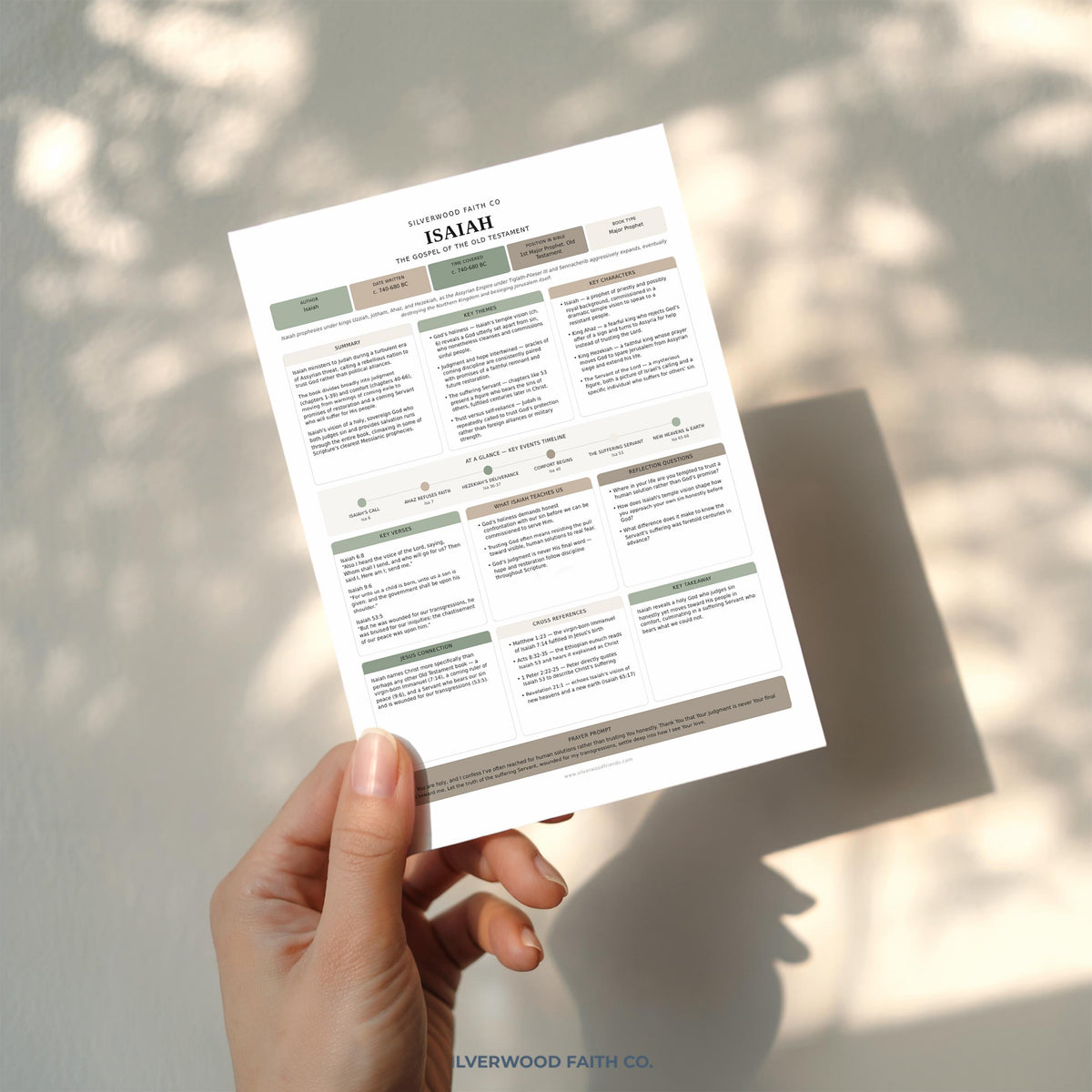 17 Bible Prophets Bible Study Guide, Major and Minor Bible Book Prophet Summaries, Printable Loaded Bible Insert Tip Ins (Digital Download)