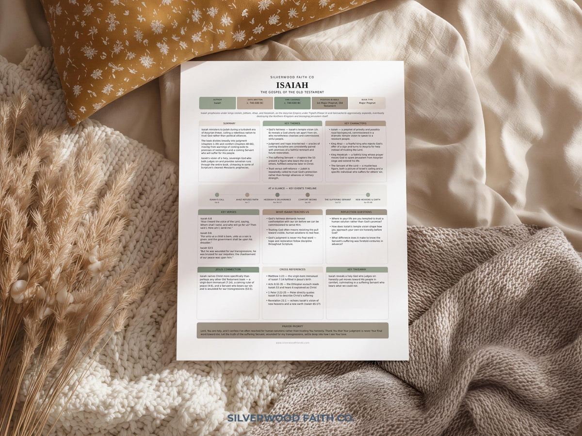 17 Bible Prophets Bible Study Guide, Major and Minor Bible Book Prophet Summaries, Printable Loaded Bible Insert Tip Ins (Digital Download)