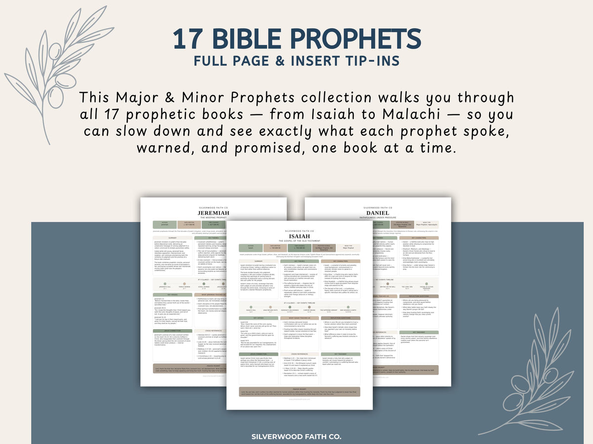 17 Bible Prophets Bible Study Guide, Major and Minor Bible Book Prophet Summaries, Printable Loaded Bible Insert Tip Ins (Digital Download)