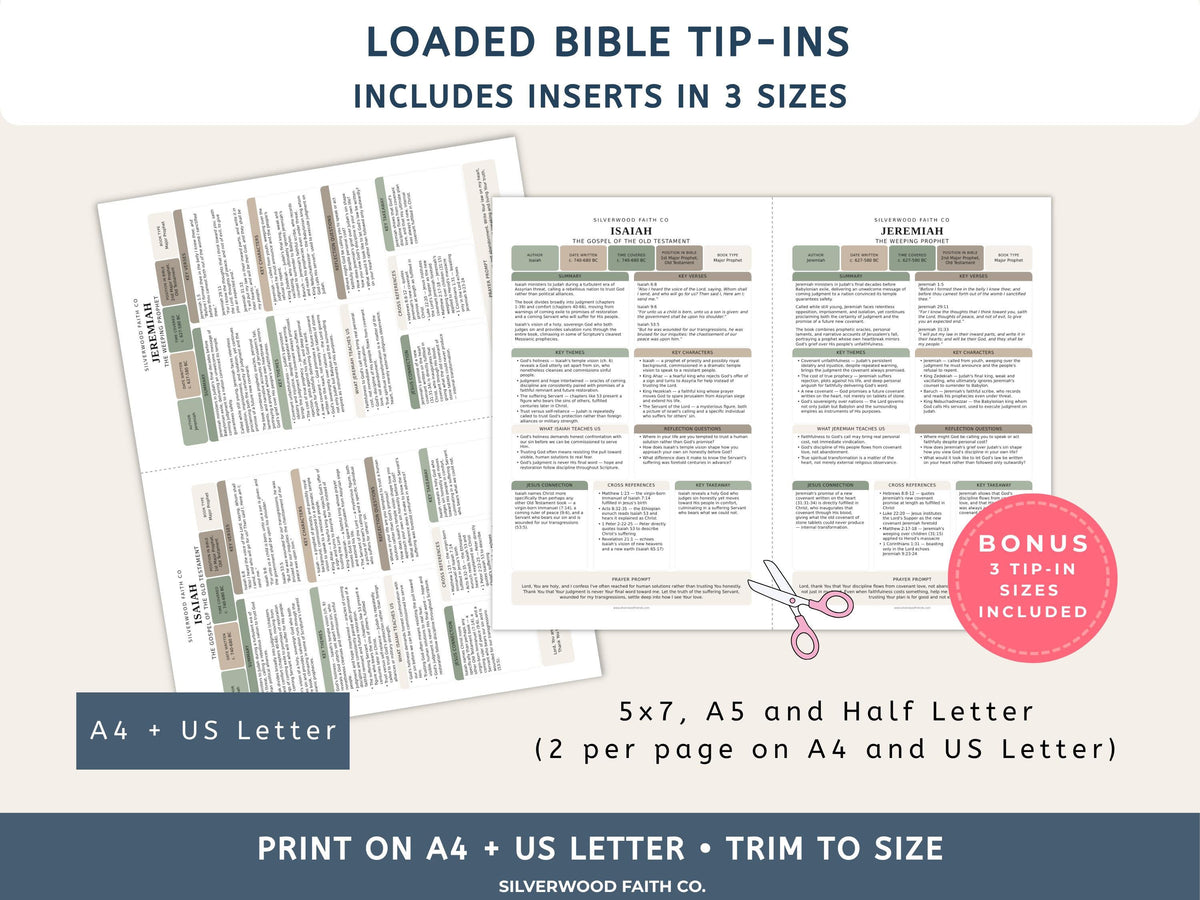 17 Bible Prophets Bible Study Guide, Major and Minor Bible Book Prophet Summaries, Printable Loaded Bible Insert Tip Ins (Digital Download)