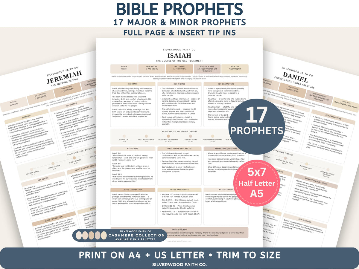17 Bible Prophets Bible Study Guide, Major and Minor Bible Book Prophet Summaries, Printable Loaded Bible Insert Tip Ins (Digital Download)