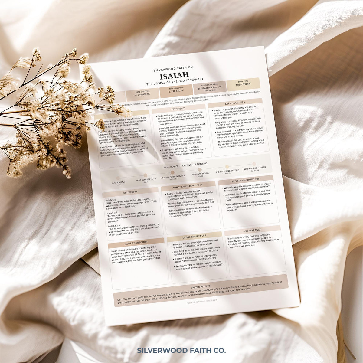 17 Bible Prophets Bible Study Guide, Major and Minor Bible Book Prophet Summaries, Printable Loaded Bible Insert Tip Ins (Digital Download)