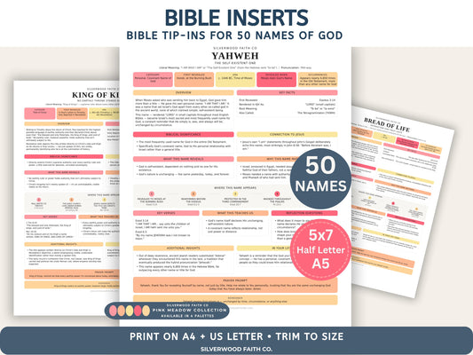 Bible Inserts 50 Names of God Bible Study Guide, Bible Tip-Ins 50 Summaries on God's Name in the Bible, PINK MEADOW