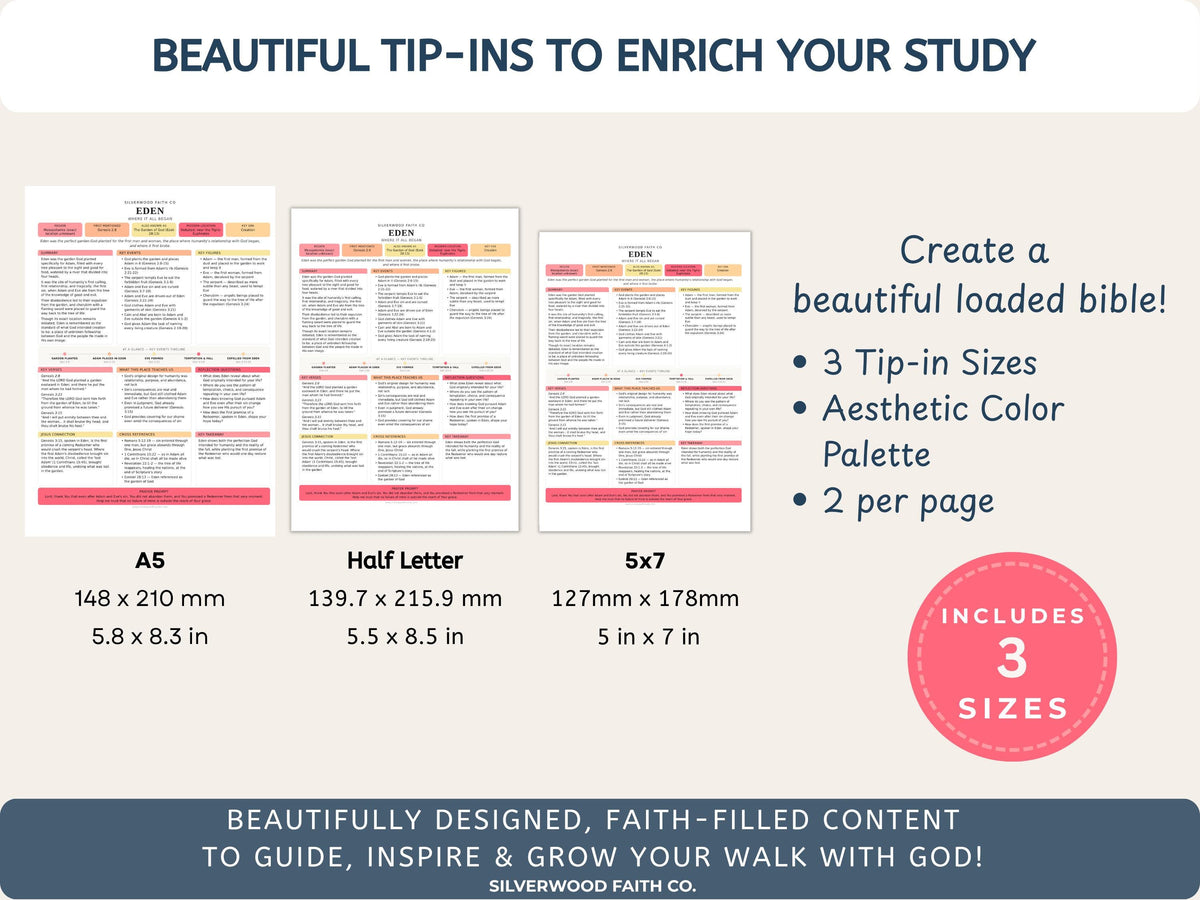 75 Biblical Locations Bible Study Inserts: Tips Ins, Bible Location Study Guide, Bible Summaries, Printable PDF, PINK (Digital Download)