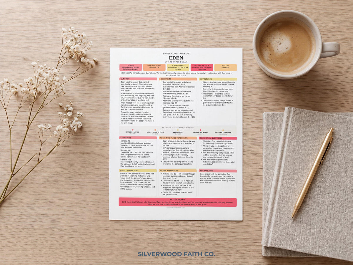 75 Biblical Locations Bible Study Inserts: Tips Ins, Bible Location Study Guide, Bible Summaries, Printable PDF, PINK (Digital Download)