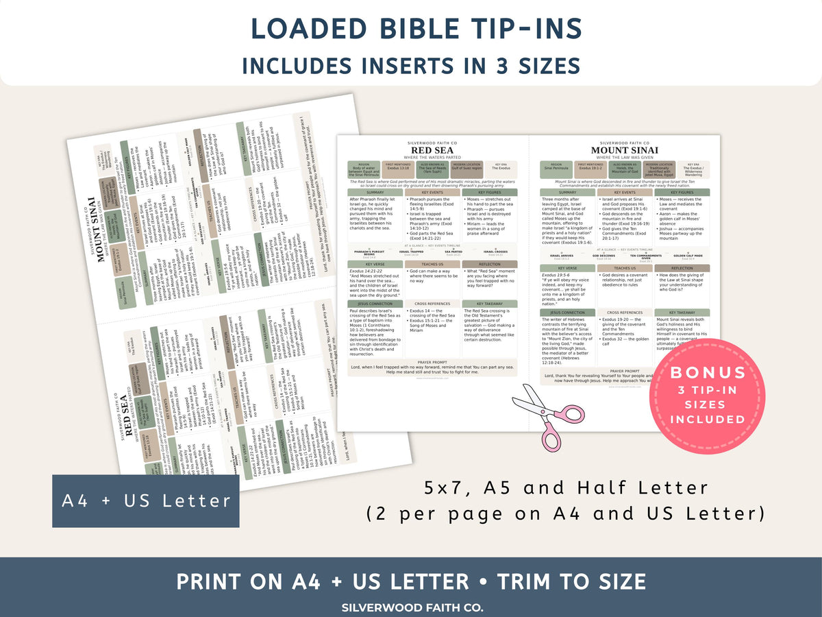 75 Biblical Locations Bible Study Inserts: Tips Ins, Bible Location Study Guide, Bible Summaries, Printable PDF, SAGE (Digital Download)