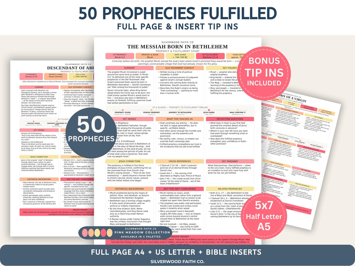 50 Prophecies Fulfilled Bible Study Inserts: Tips Ins, Bible Prophecy Study Guide, Old Testament Prophecy Printable PDF (Digital Download)
