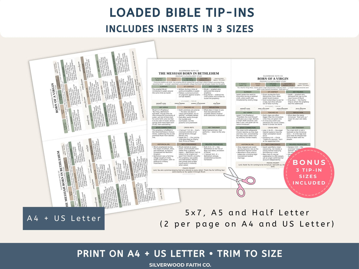 50 Prophecies Fulfilled Bible Study Inserts: Tips Ins, Bible Prophecy Study Guide, Old Testament Prophecy Printable PDF (Digital Download)
