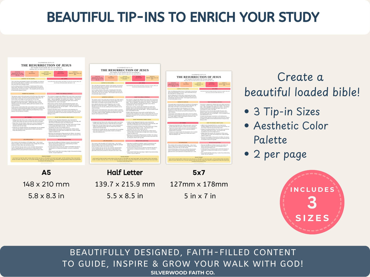 Bible Inserts 35 Miracles of Jesus Bible Study Guide, Jesus Biblical Miracles Bible Study Tip Ins, PINK MEADOW (Digital Download)
