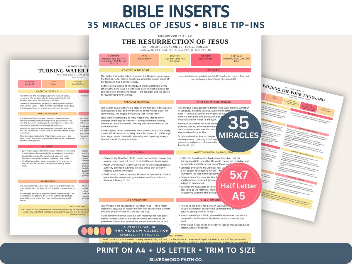 Bible Inserts 35 Miracles of Jesus Bible Study Guide, Jesus Biblical Miracles Bible Study Tip Ins, PINK MEADOW (Digital Download)