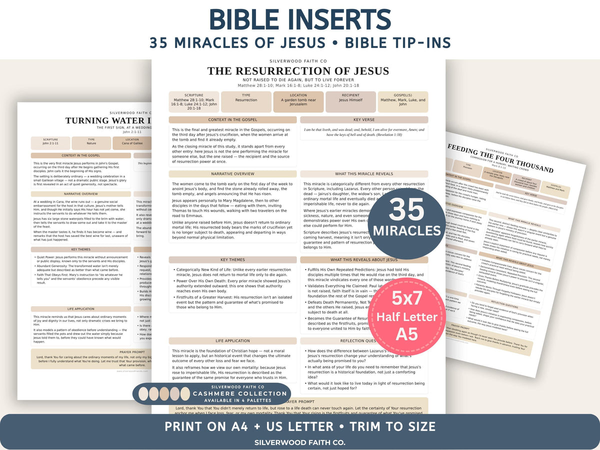 Bible Inserts 35 Miracles of Jesus Bible Study Guide, Bible Study Tip Ins Printable, Sunday School Worksheets, CASHMERE (Digital Download)