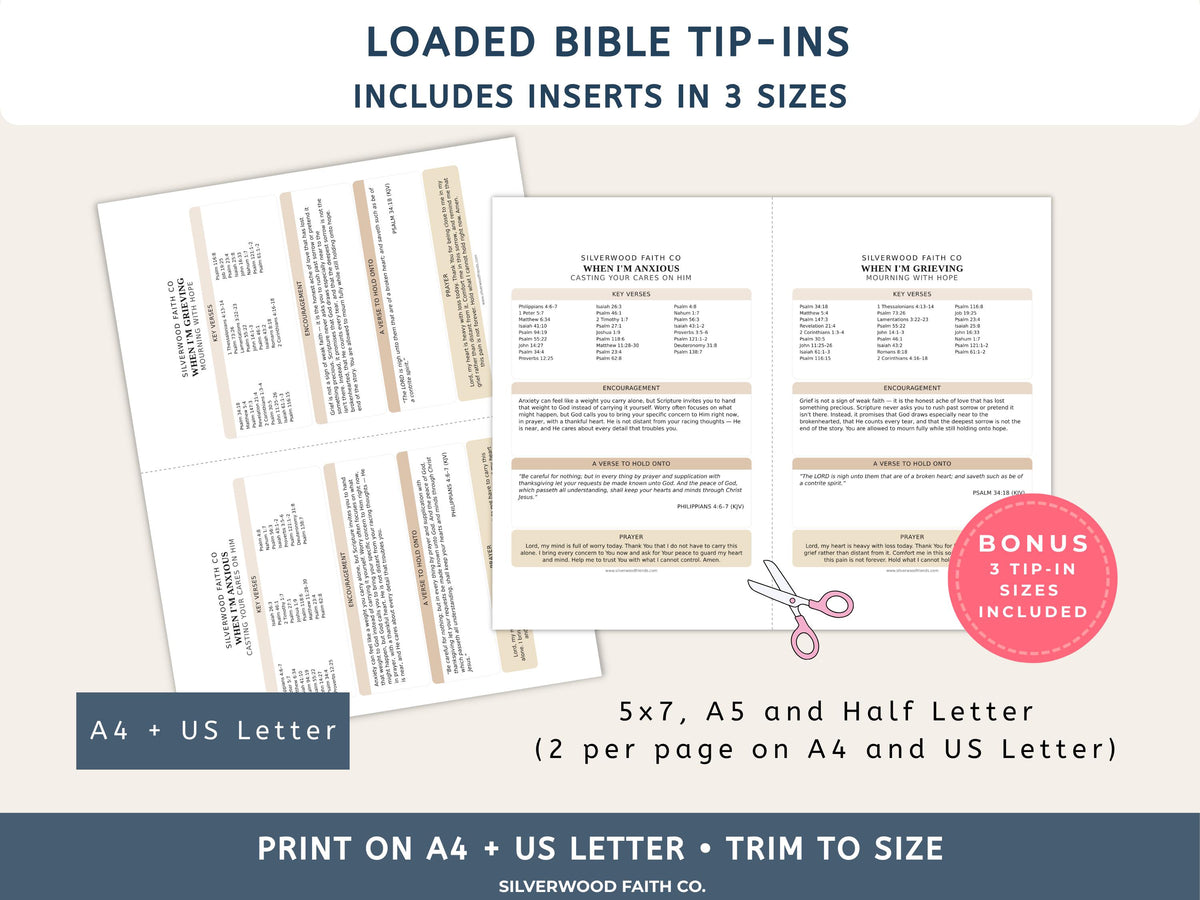 Mega Bible Study INSERT Bundle, Loaded Bible Study Tip Ins, Bible Summaries, Bible Study Resources, Printable PDF CASHMERE(Digital Download)