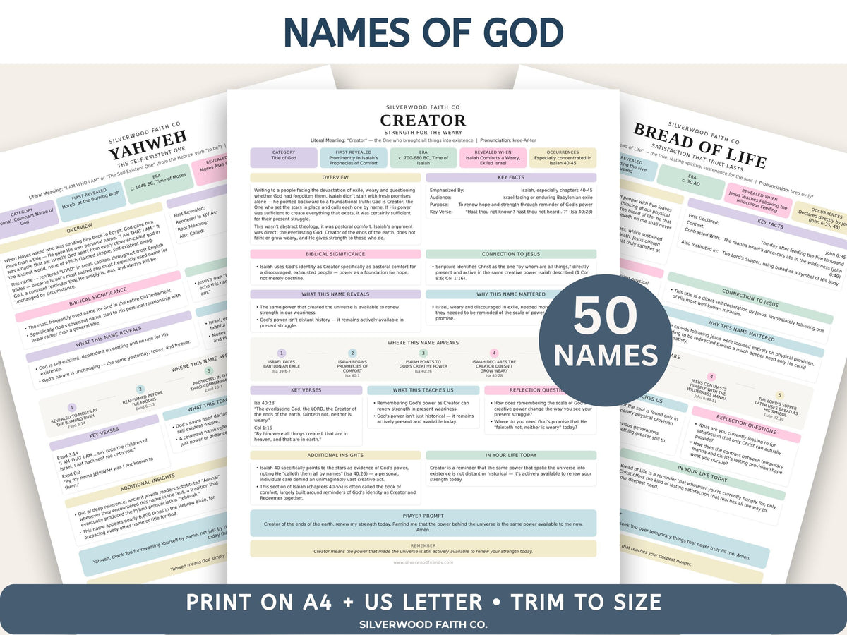 Complete Bible INSERT Study Guide Bundle, Loaded Bible Study Tip Ins, Bible Summaries, Bible Study Resources, Printable (Digital Download)