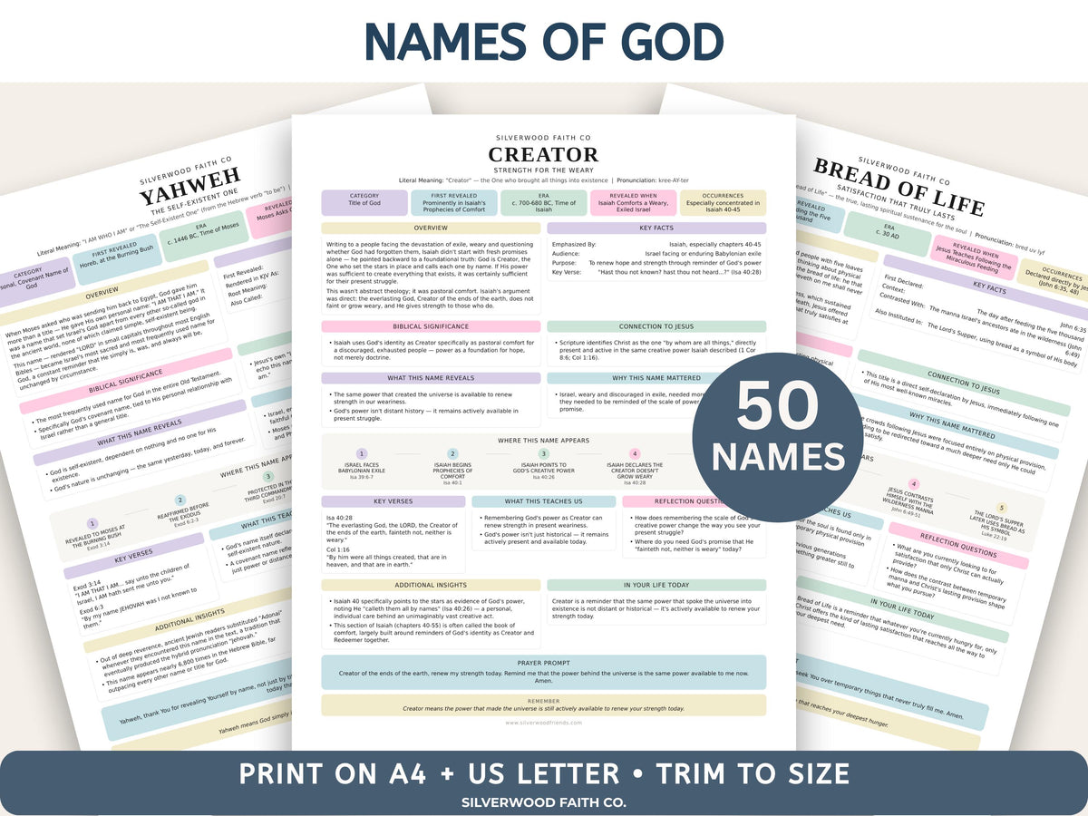 Complete Bible Insert Study Guide Bundle, Loaded Bible Study Tip Ins, Bible Summaries, Bible Study Resources, Printable (Digital Download)