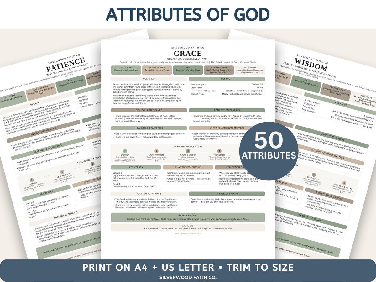 Complete Bible INSERT Study Guide Bundle, Loaded Bible Study Tip Ins, Bible Summaries, Bible Study Resources, Printable (Digital Download)