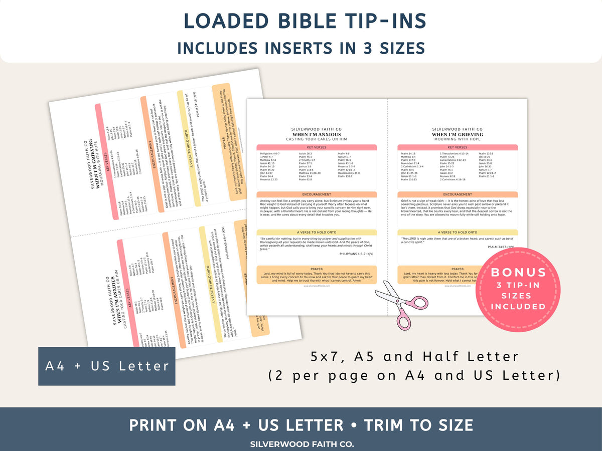Complete Bible INSERT Study Guide Bundle, Loaded Bible Study Tip Ins, Bible Summaries, Bible Study Resources, Printable (Digital Download)