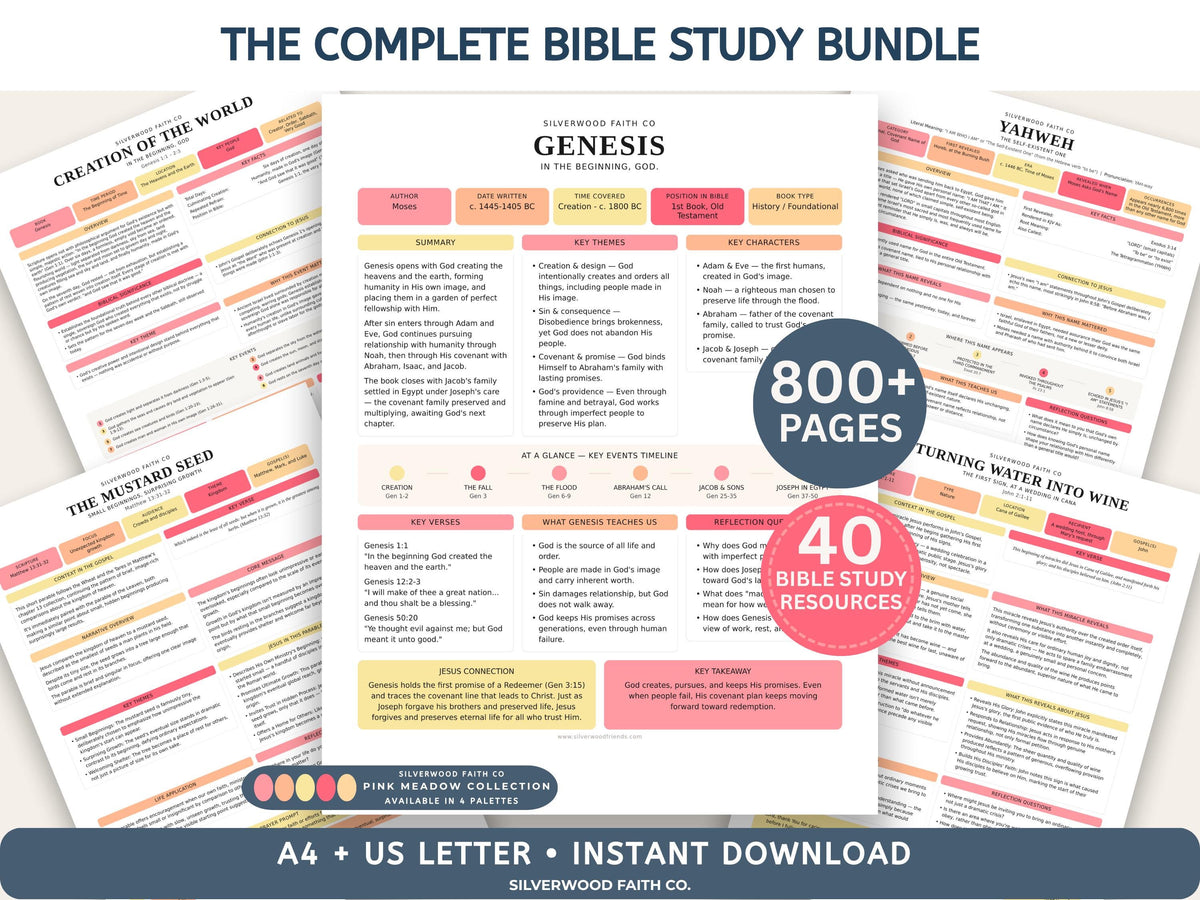 Complete Bible Study Bundle, Bible Study Guides, Bible Book Summaries, Character Summary, Bible Study Printable PDF (Digital Download)