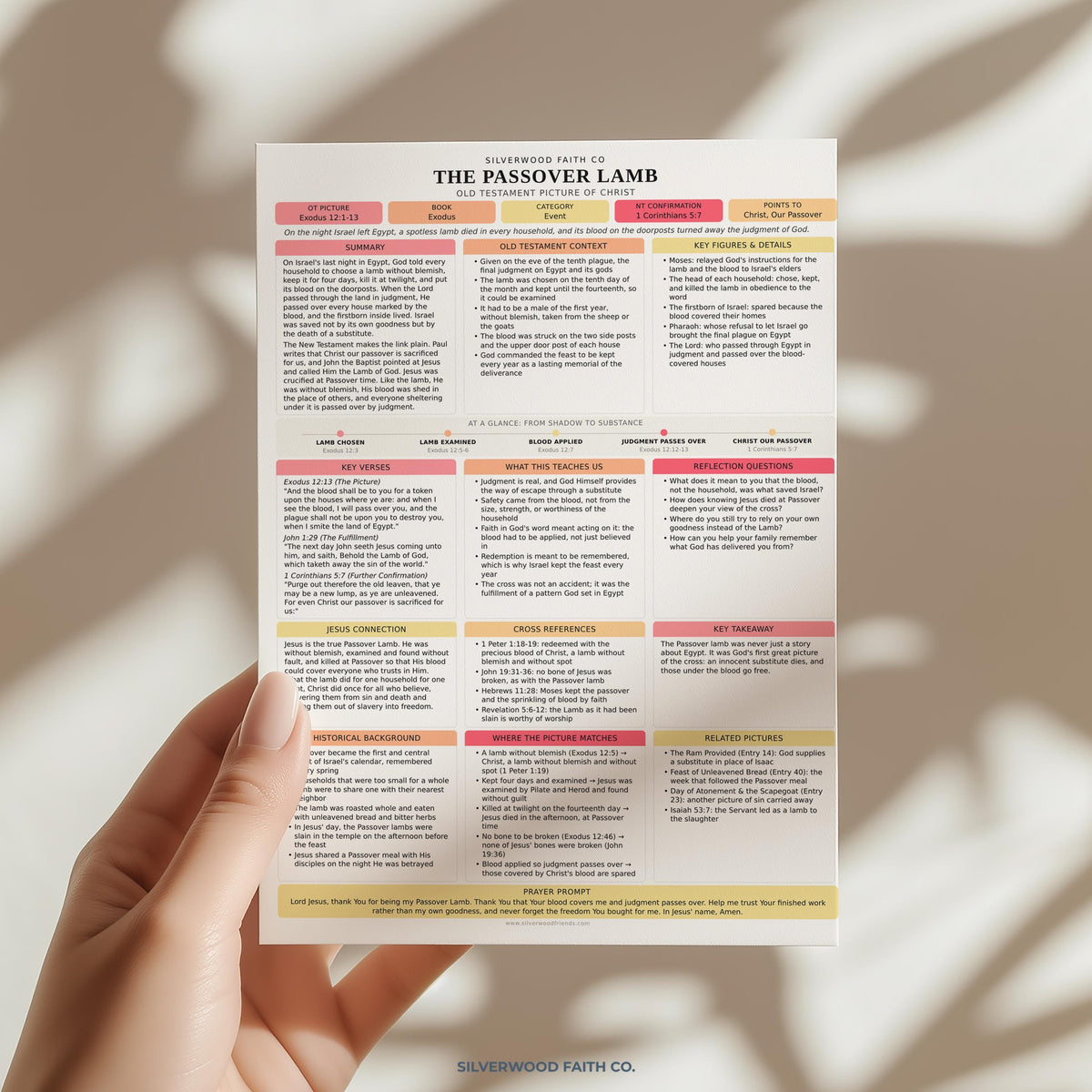 Jesus in the Old Testament Bible Study Guide, Pink Bible Study Inserts, Tips Ins Old Testament Printable Bible Study Guide(Digital Download)