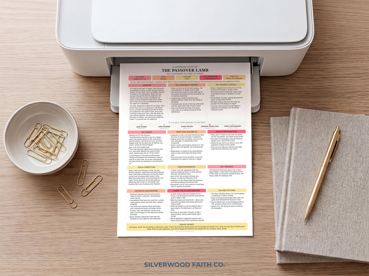 Jesus in the Old Testament Bible Study Guide, Pink Bible Study Inserts, Tips Ins Old Testament Printable Bible Study Guide(Digital Download)