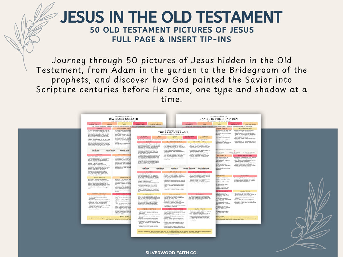 Jesus in the Old Testament Bible Study Guide, Pink Bible Study Inserts, Tips Ins Old Testament Printable Bible Study Guide(Digital Download)