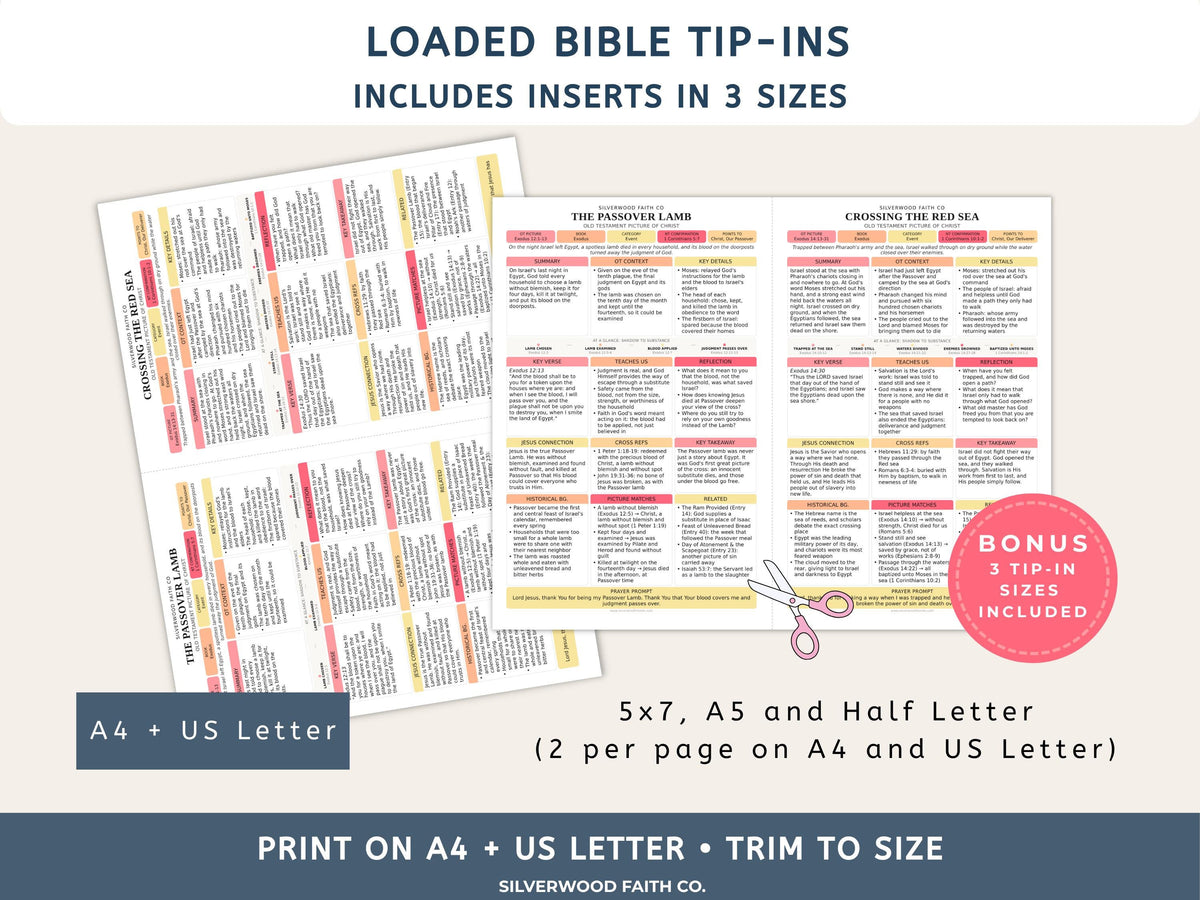 Jesus in the Old Testament Bible Study Guide, Pink Bible Study Inserts, Tips Ins Old Testament Printable Bible Study Guide(Digital Download)