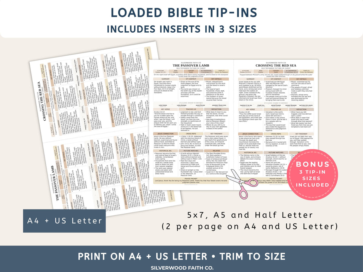 Jesus in the Old Testament Bible Study Guide, Neutral Bible Study Inserts, Tips Ins Old Testament Printable Bible Study (Digital Download)