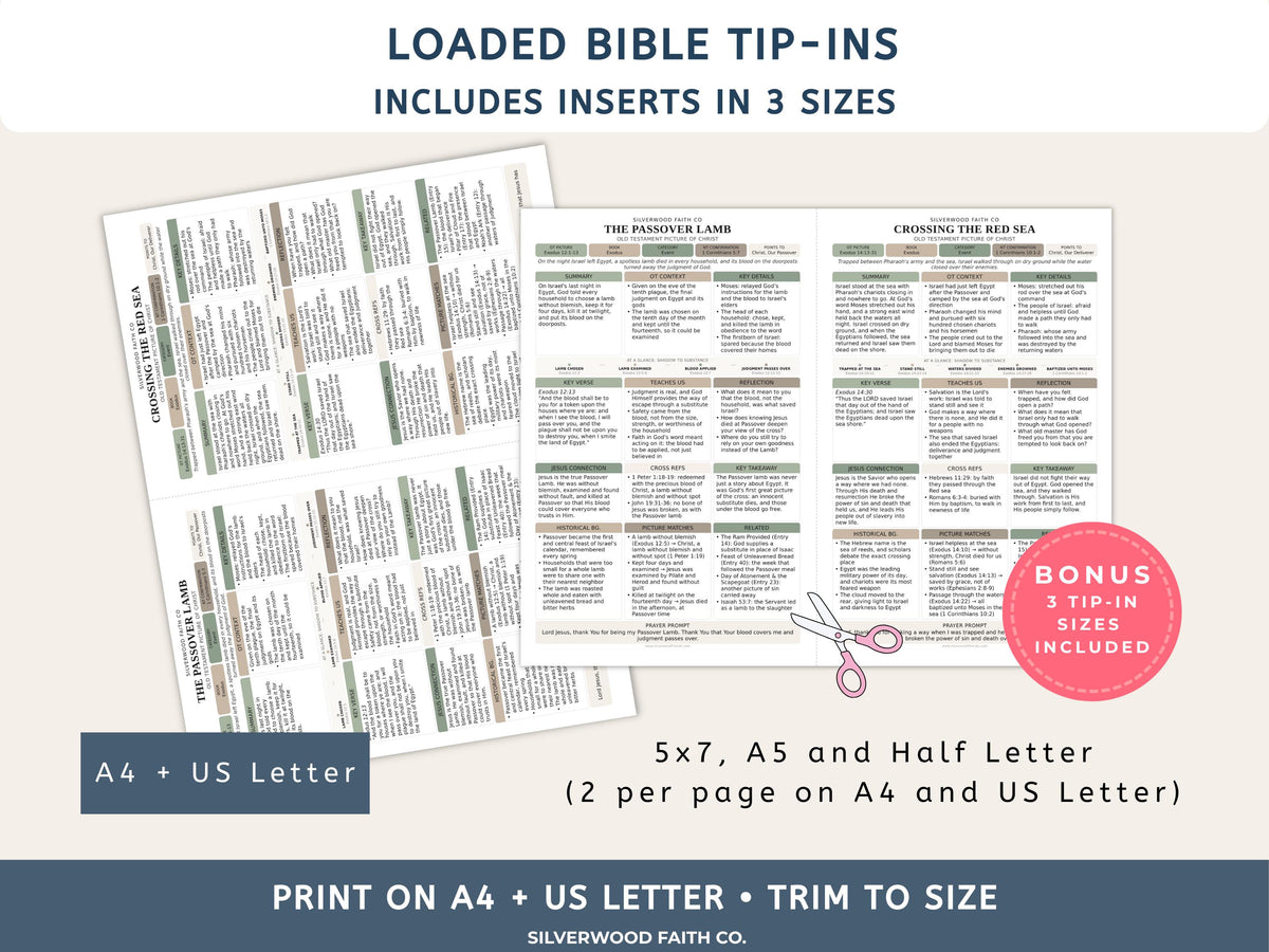 Jesus in the Old Testament Bible Study Guide, Green Bible Study Inserts, Tips Ins Old Testament Printable Bible Study (Digital Download)