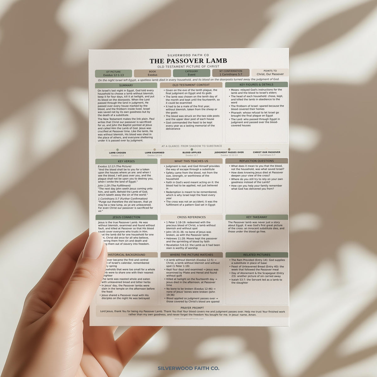 Jesus in the Old Testament Bible Study Guide, Green Bible Study Inserts, Tips Ins Old Testament Printable Bible Study (Digital Download)