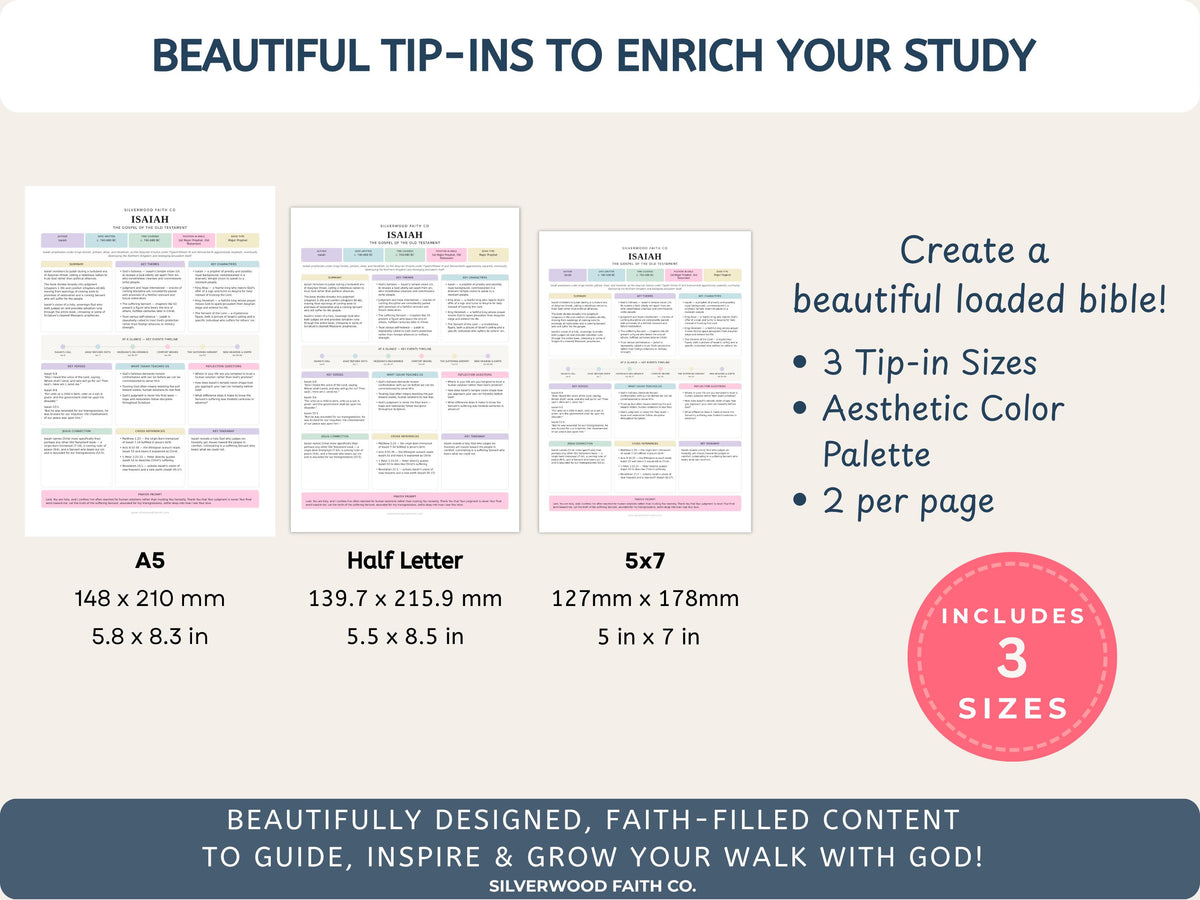 17 Bible Prophets Bible Study Guide, Major and Minor Bible Book Prophet Summaries, Printable Loaded Bible Insert Tip Ins (Digital Download)