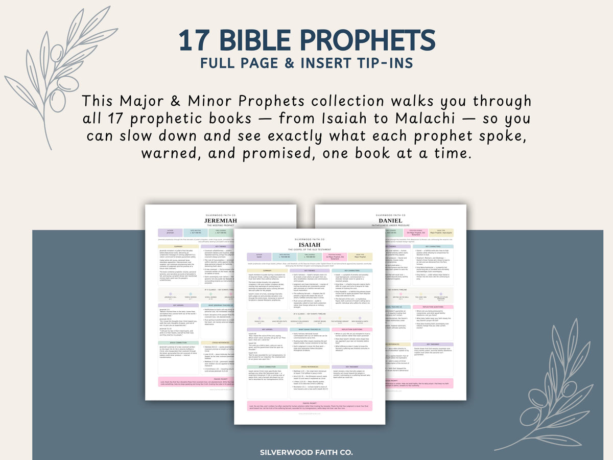 17 Bible Prophets Bible Study Guide, Major and Minor Bible Book Prophet Summaries, Printable Loaded Bible Insert Tip Ins (Digital Download)