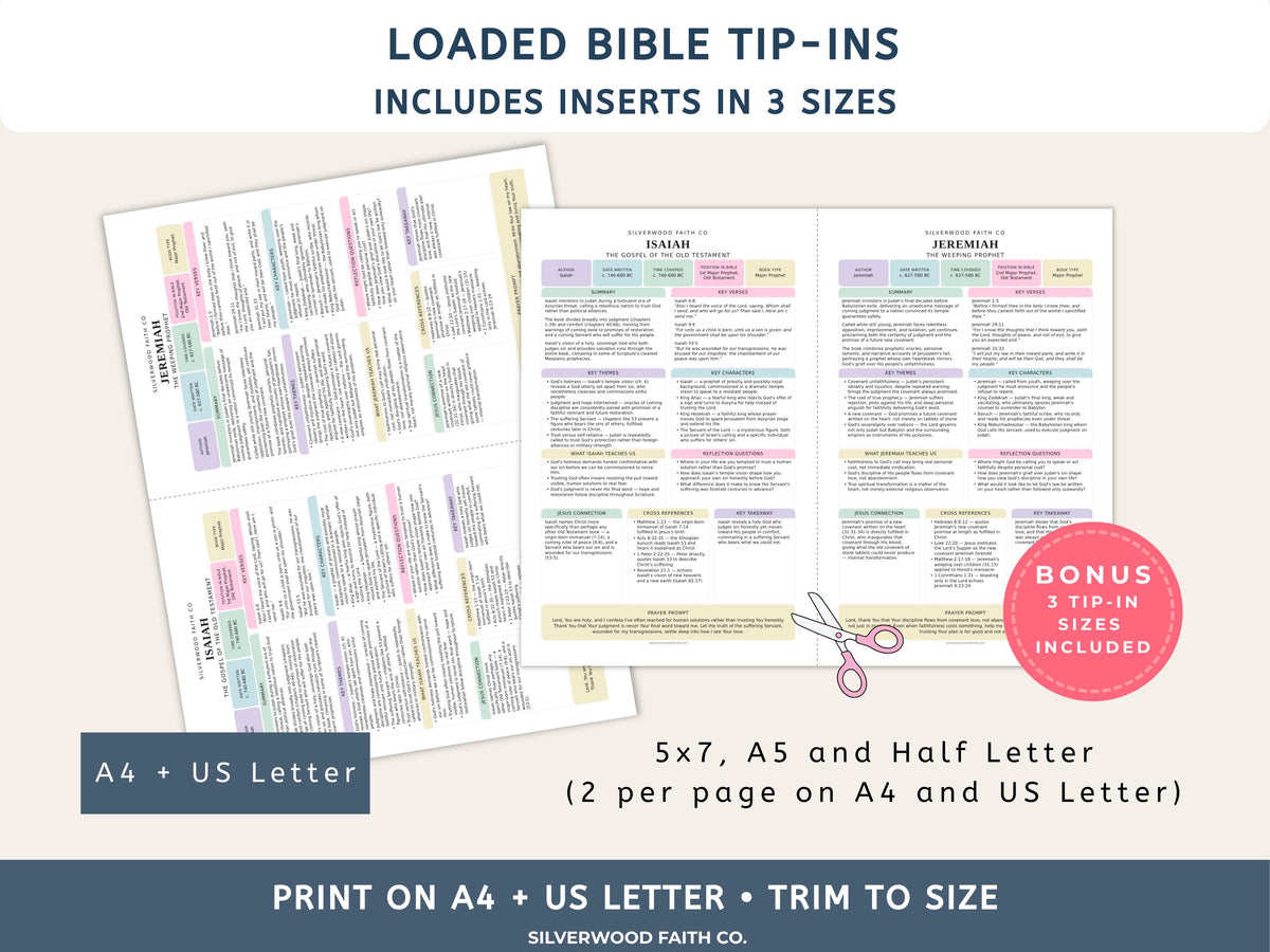 17 Bible Prophets Bible Study Guide, Major and Minor Bible Book Prophet Summaries, Printable Loaded Bible Insert Tip Ins (Digital Download)