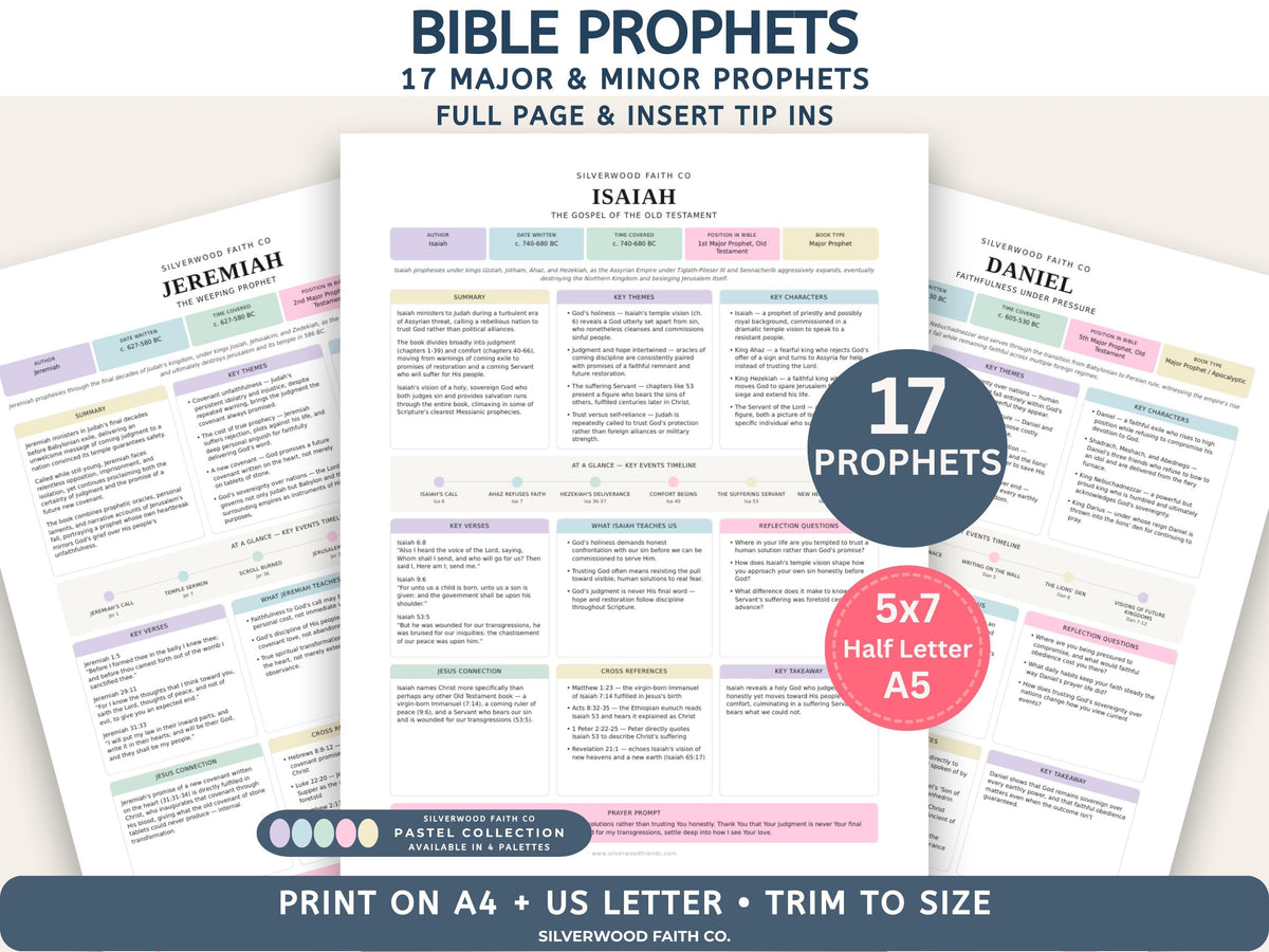 17 Bible Prophets Bible Study Guide, Major and Minor Bible Book Prophet Summaries, Printable Loaded Bible Insert Tip Ins (Digital Download)